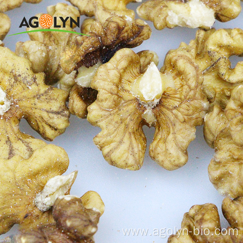 New Crop Yunnan Walnut Kernel With Light Color